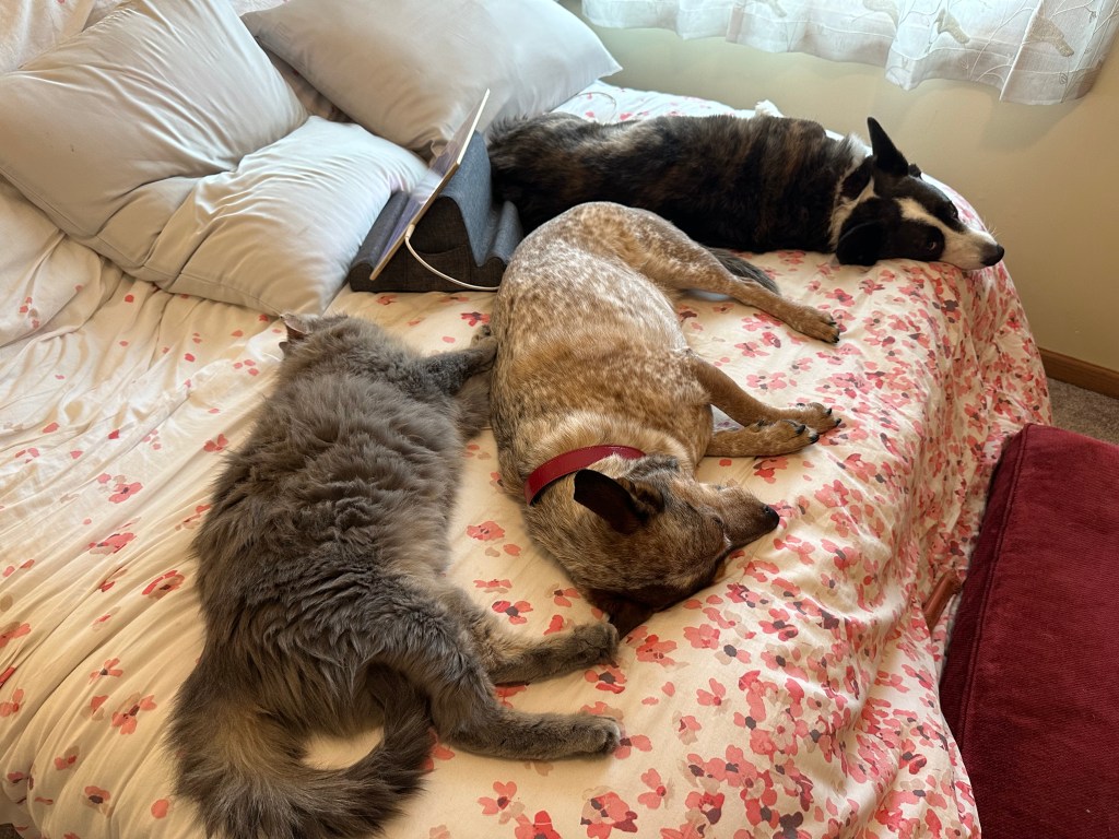 Ernie, Rosie and Mabel