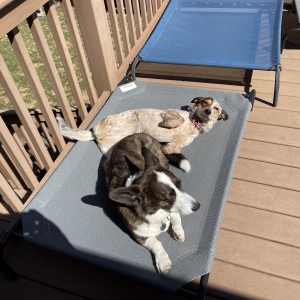 Rosie and Mabel