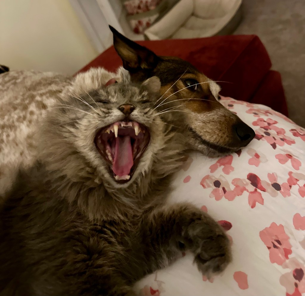 Ernie and Rosie