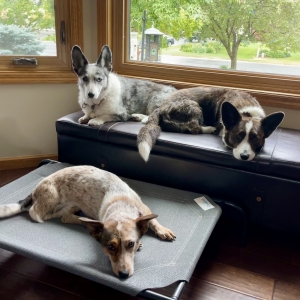 Rosie and Mabel and Myrtle