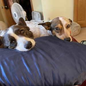 Rosie and Mabel