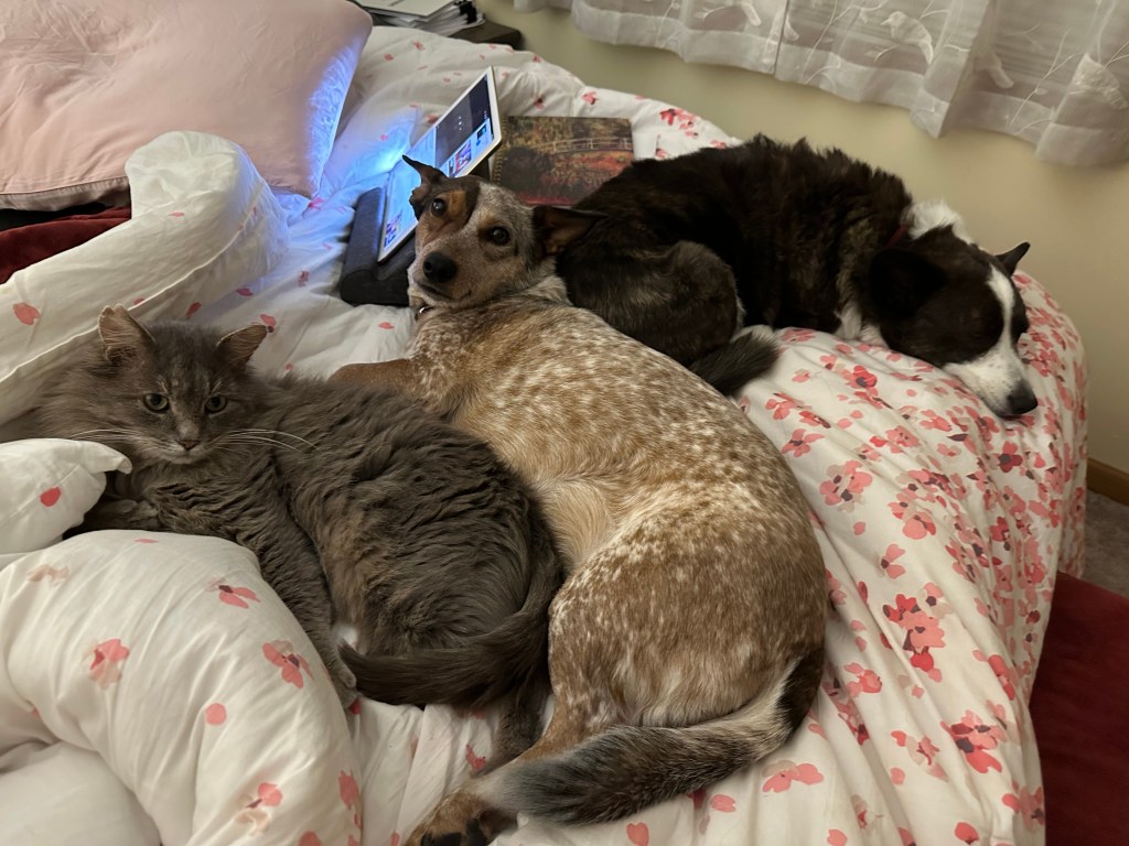 Ernie, Rosie and Mabel