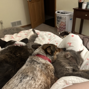 Morning cuddles