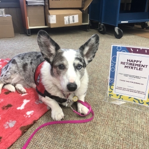 Myrtle's retirement party