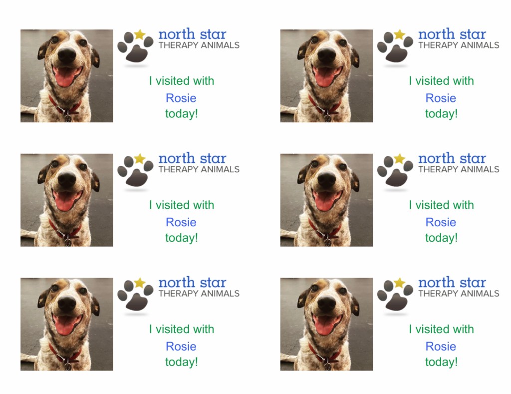 I visited with Rosie today!