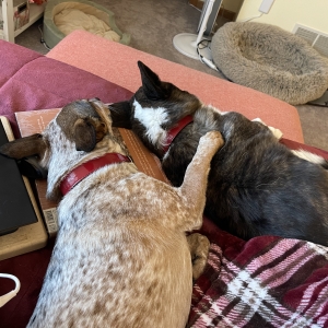 Rosie and Mabel