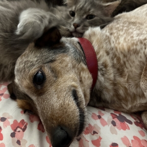 Rosie and Ernie