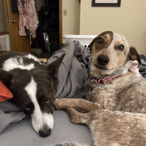 Rosie and Mabel