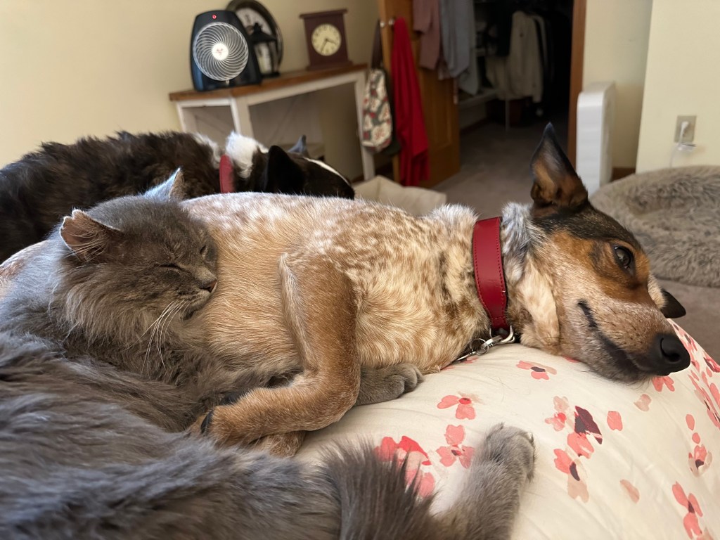 Ernie and Rosie