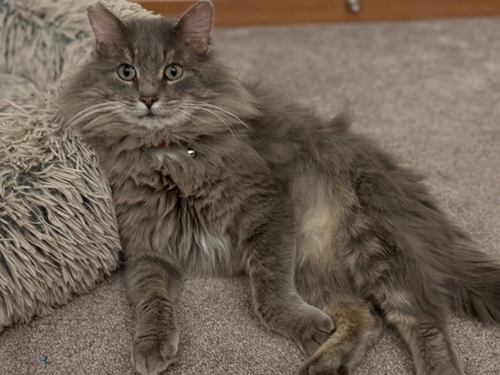 Ernie