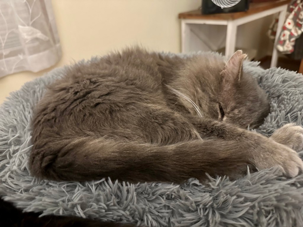 Ernie