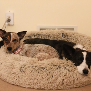 Rosie and Mabel