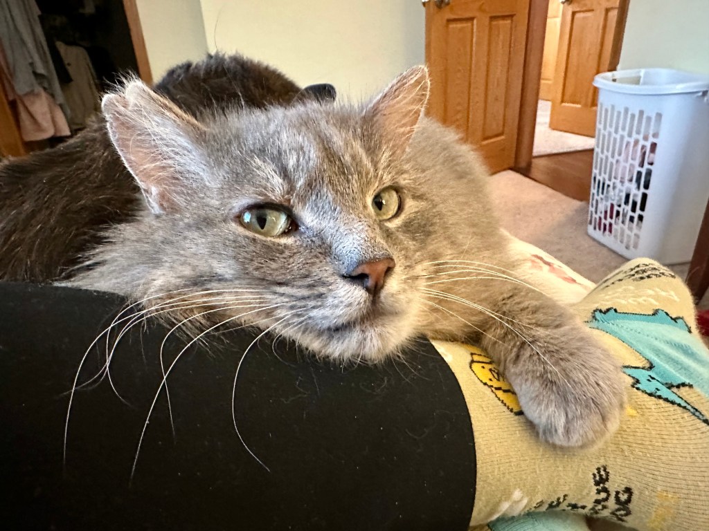 Ernie