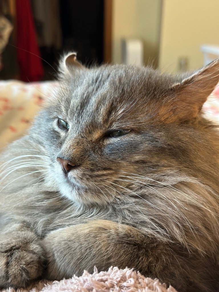 Ernie