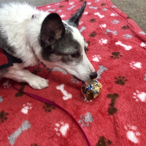 Myrtle's retirement party