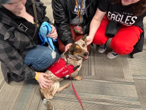 Rosie in Shakopee
