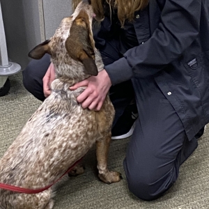 Rosie at Maple Grove Hospital