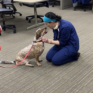 Rosie at Maple Grove Hospital