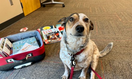 Rockford Road Library