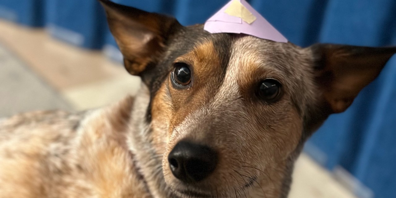 Rum River Elementary 4/4/23