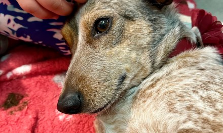 Rum River Elementary 10/12/2023