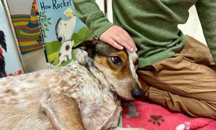 Rum River Elementary 11/30/2023