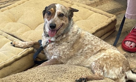 Avant Gardens Story Hour