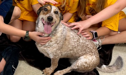 Animal Humane Society 7/25/25