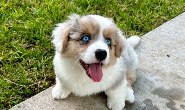 Welcome Jolene!