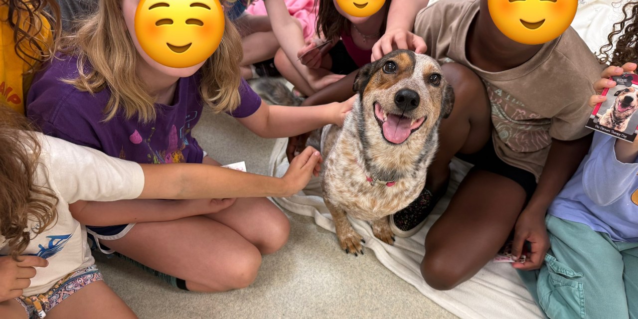 Animal Humane Society 8/15/25
