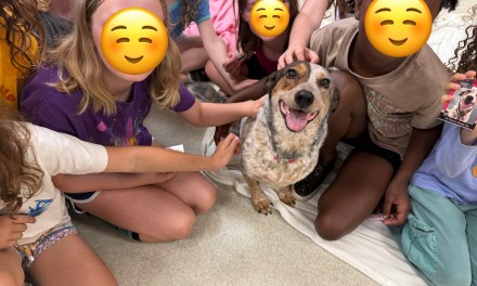 Animal Humane Society 8/15/25