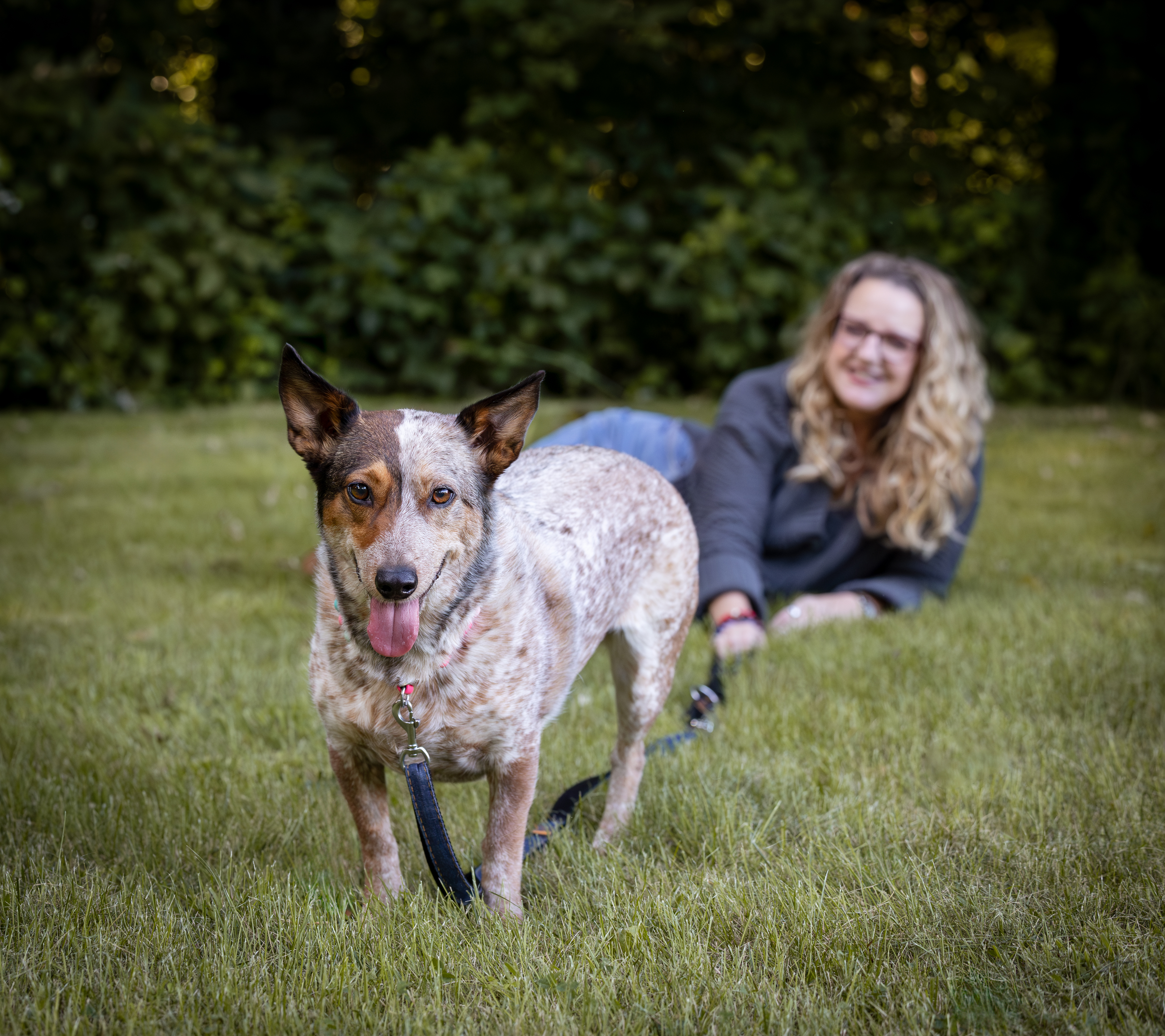 Ruff Start Rescue Photo Session | Rosie