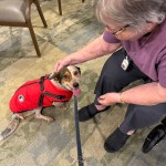 The Farmstead Nov. 2025