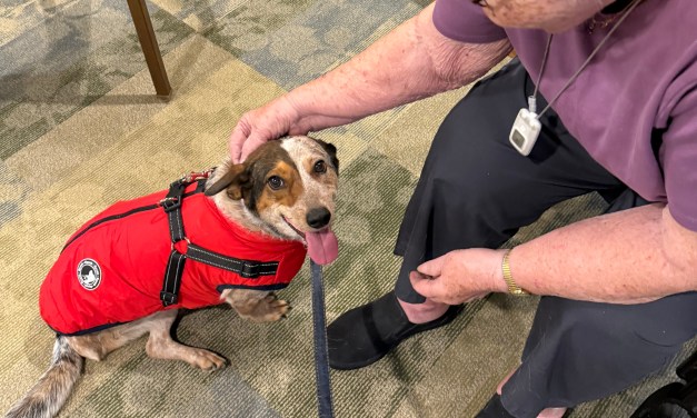 The Farmstead Nov. 2025